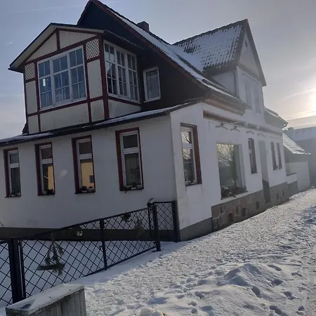 Ferienwohnung Sonnenschein Mit Kleinem Bauernhof Тале Экстерьер фото